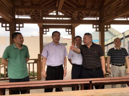 新宝GG—创立事业平台